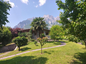 Camotta